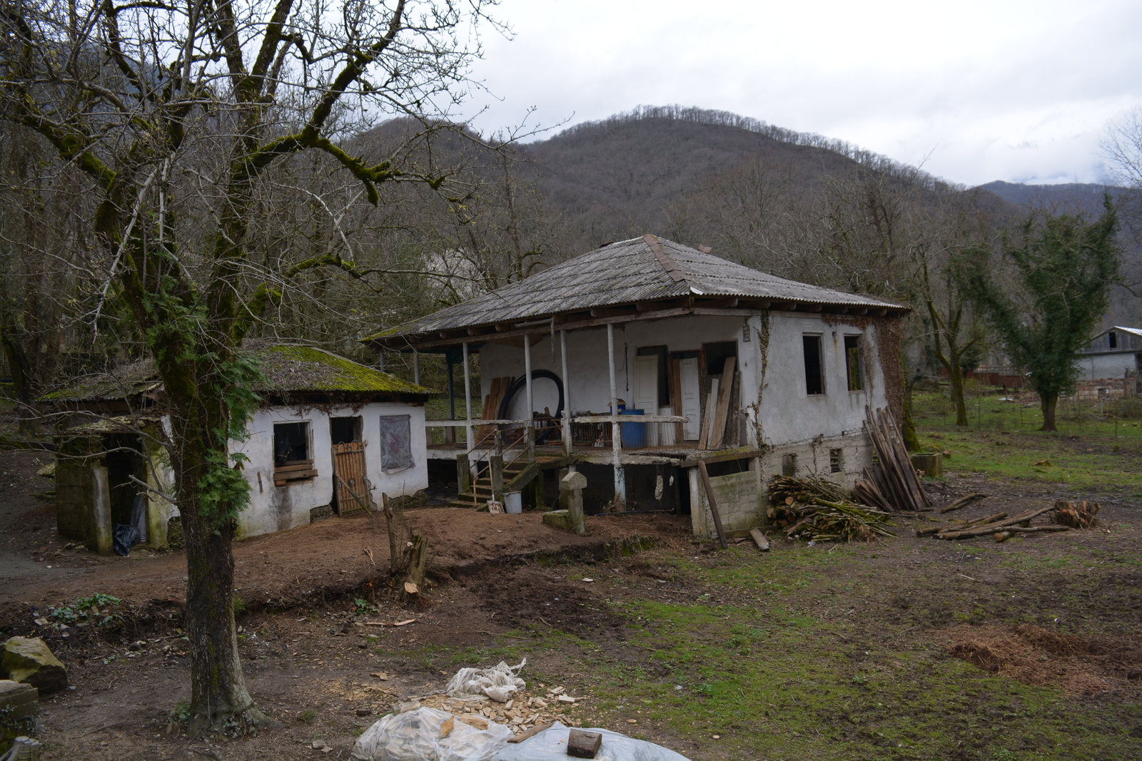 Find the horse in the photo - My, , Abkhazia