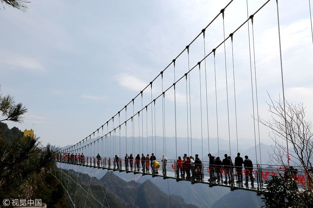 China's tallest glass bridge opens - Bridge, Glass Bridge, , Fear, Longpost