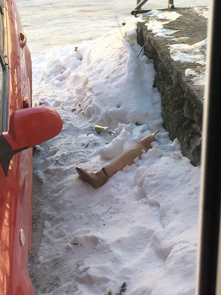 In Kemerovo, someone lost their prosthesis again. - Kemerovo, Prosthesis, March 8