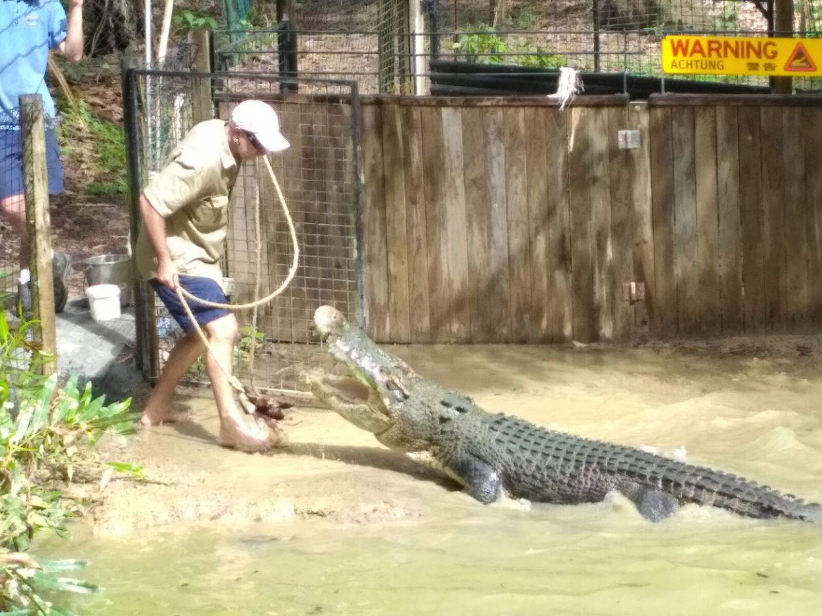 Somewhere in the north of Australia - My, Australia, The photo, Crocodile, Queensland, Longpost, Tourism, Crocodiles