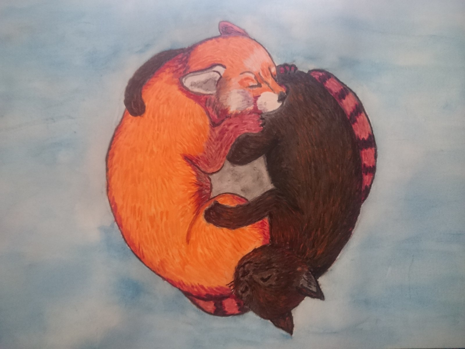 A little watercolor and cuteness. - My, Drawing, Watercolor, Creation, Junior Academy of Artists, Art, Red panda