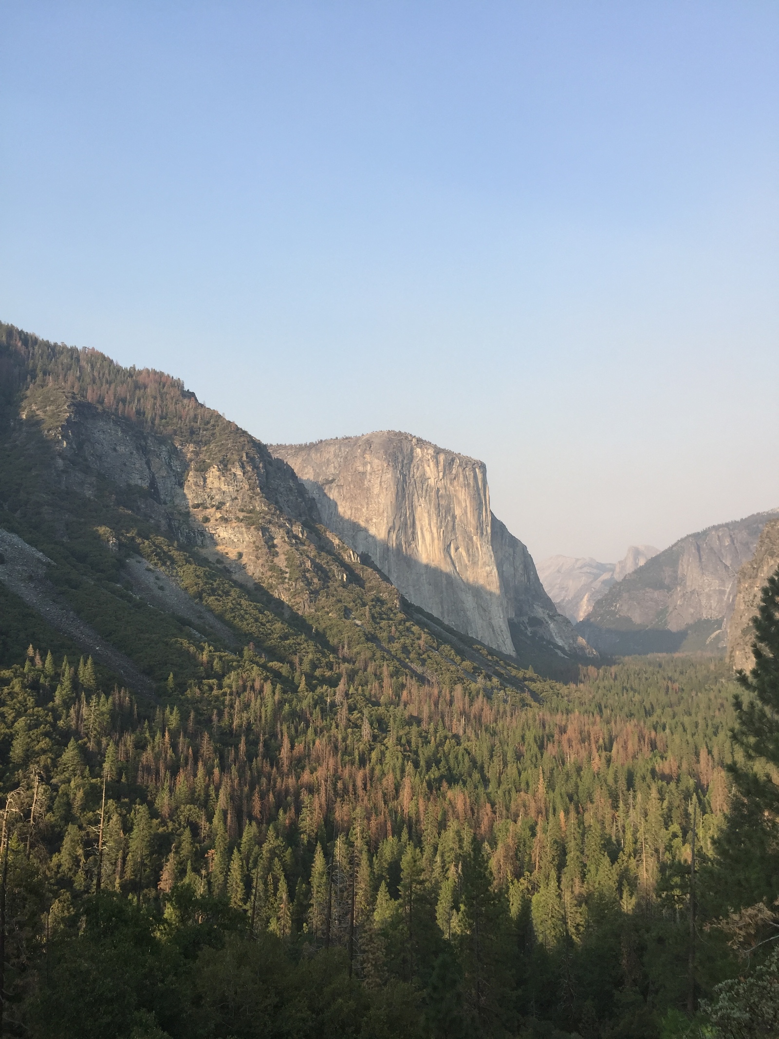 Yosemite National Park - My, USA, Travels, The photo, Yosemite, Iphone 7 plus, Longpost