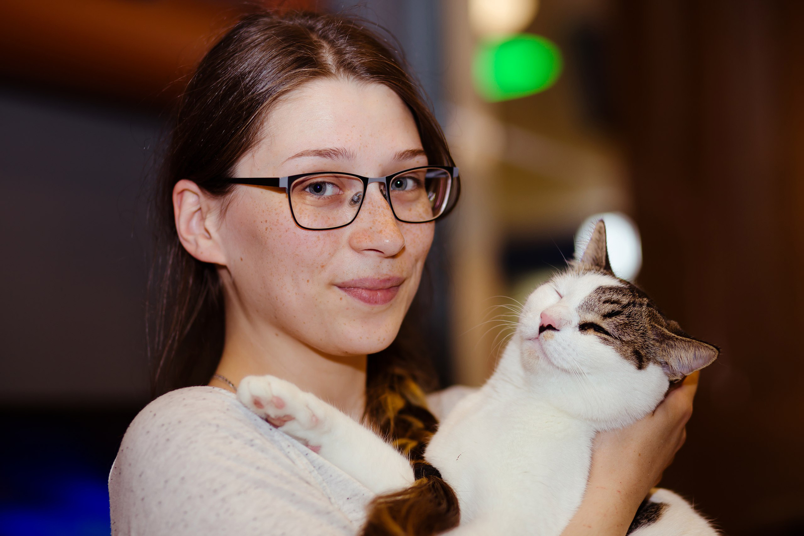 In Petrozavodsk, cats from the Cat Cafe are driven out into the street - cat, Petrozavodsk, Antikafe, news, Help, Longpost, Cafe, Negative, Helping animals