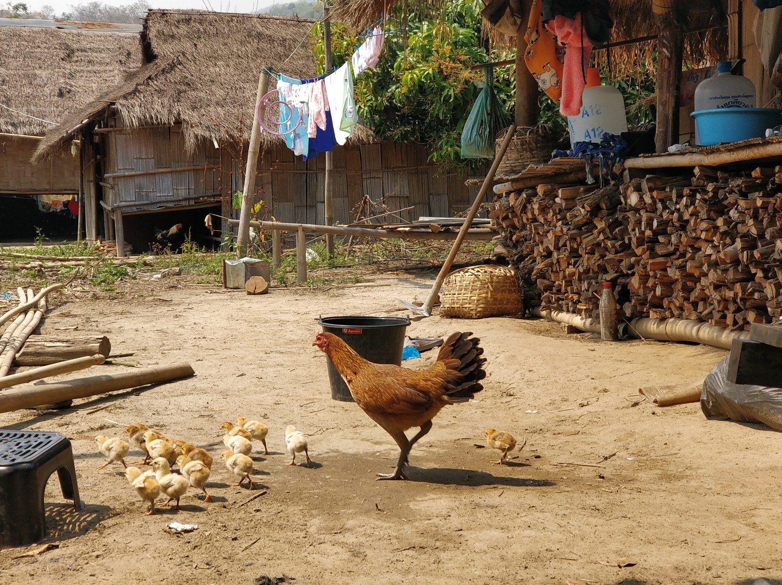 Small Journey to Big Thailand 6 (Karen Village) - My, Thailand, Female, Long-necked, Travels, Village, Longpost, Women