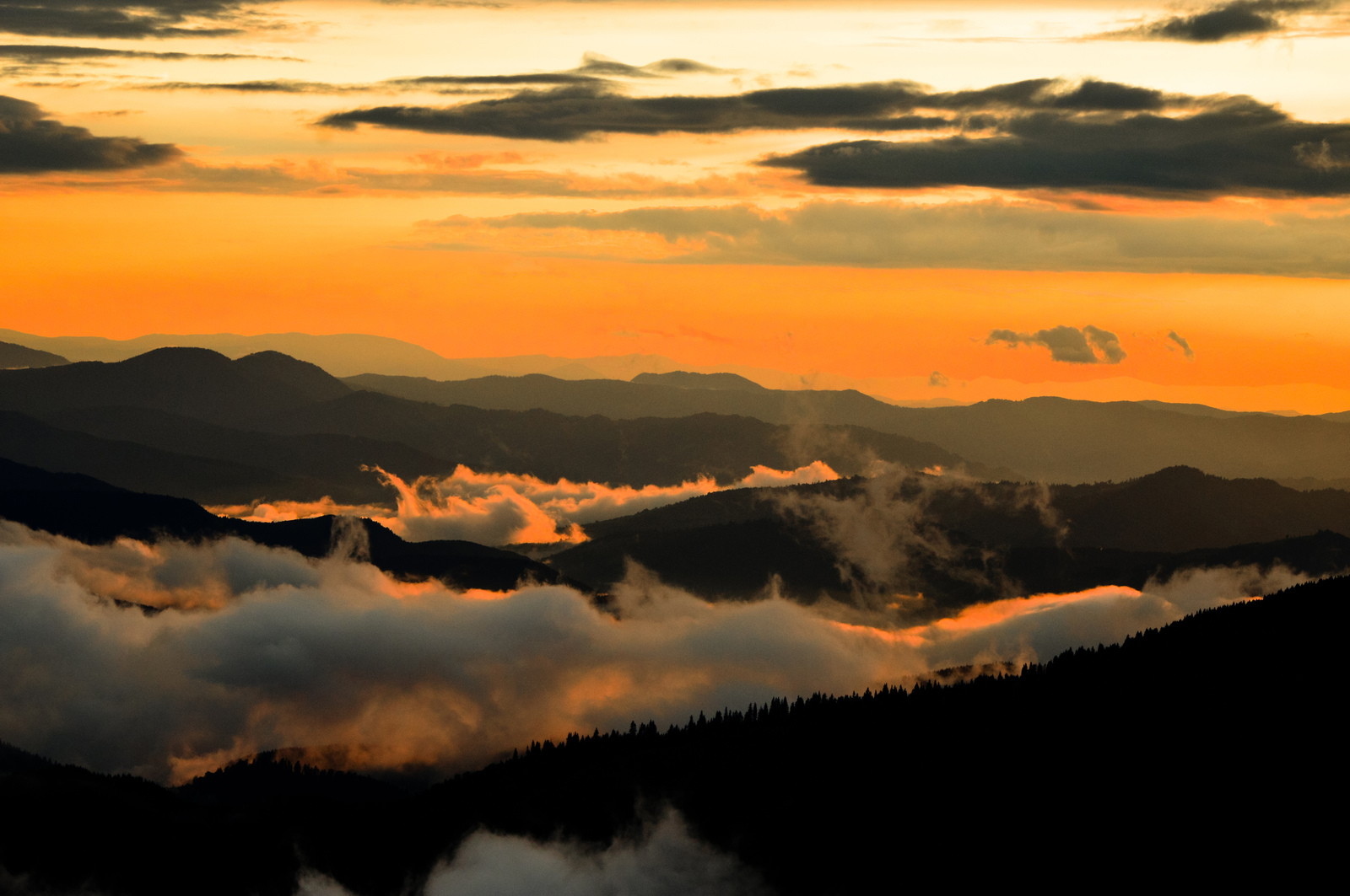 And here are the mountains - My, Carpathians, Nature, The mountains, The photo, Nikon, Longpost