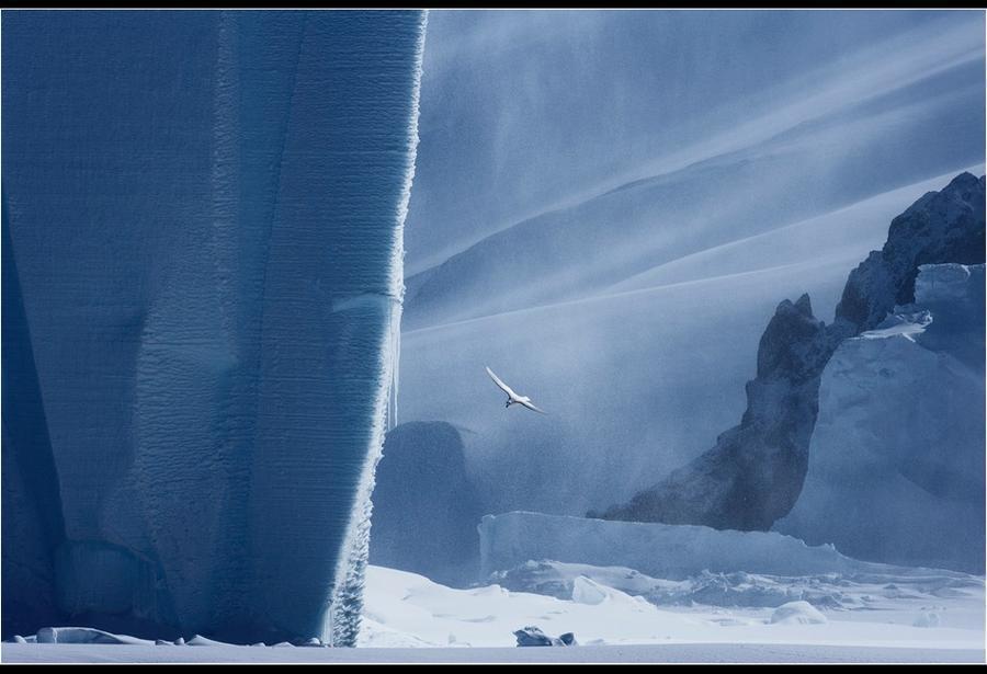 The Ross Sea through the eyes of documentary photographer John Weller. - Antarctica, , The photo, Longpost