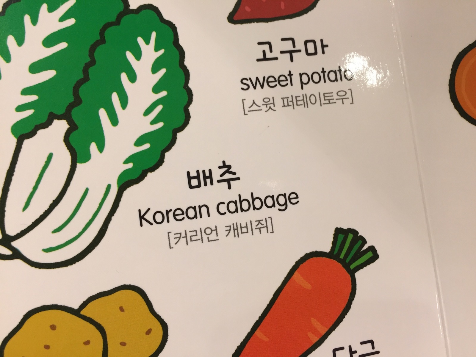 Korean cabbage - My, Cabbage, South Korea, Patriotism, Children's literature, Beijing cabbage