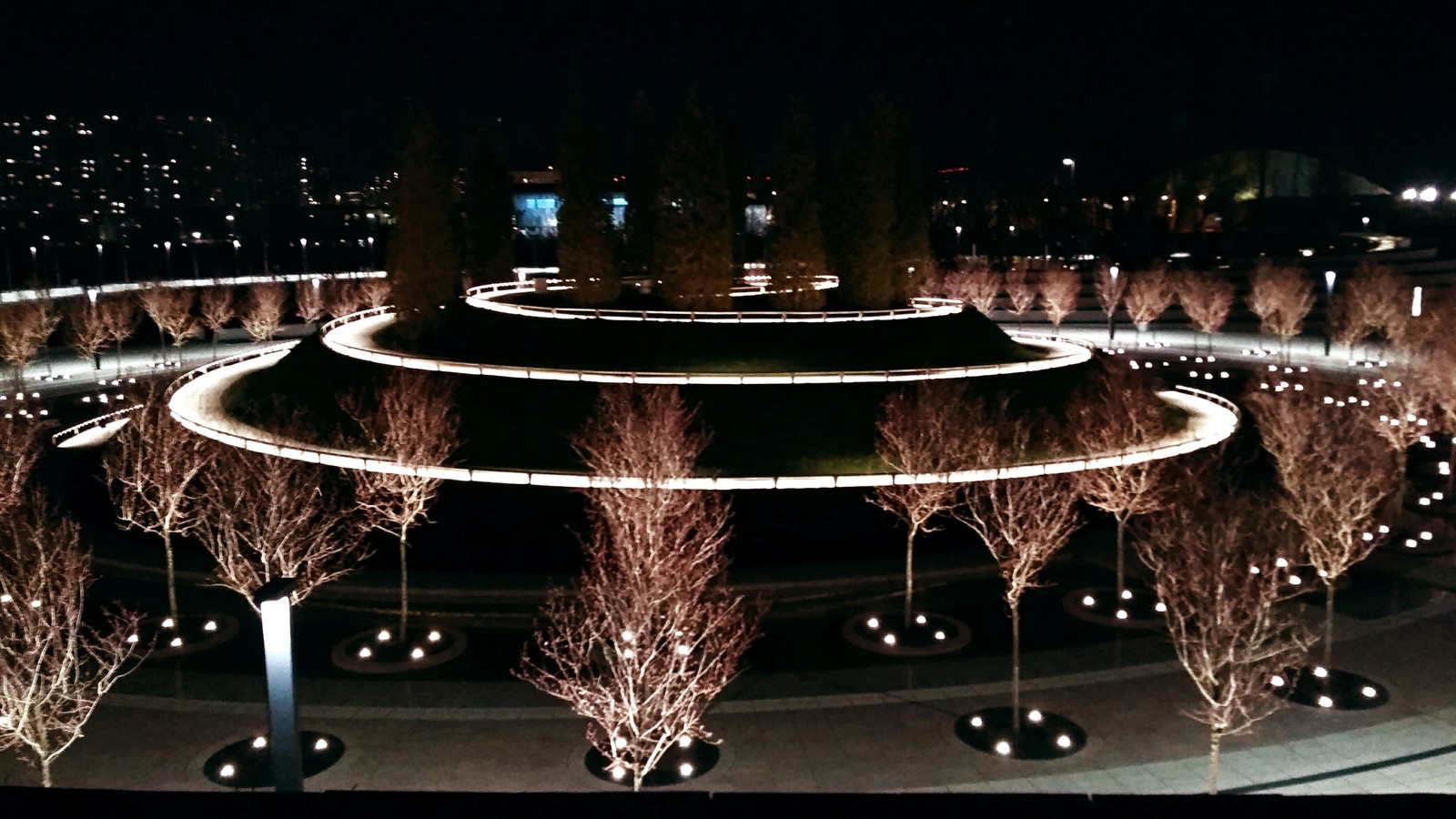 FC Krasnodar Stadium - My, Photo on sneaker, Krasnodar, Night, Like, Beautiful view, Beautiful places, Longpost