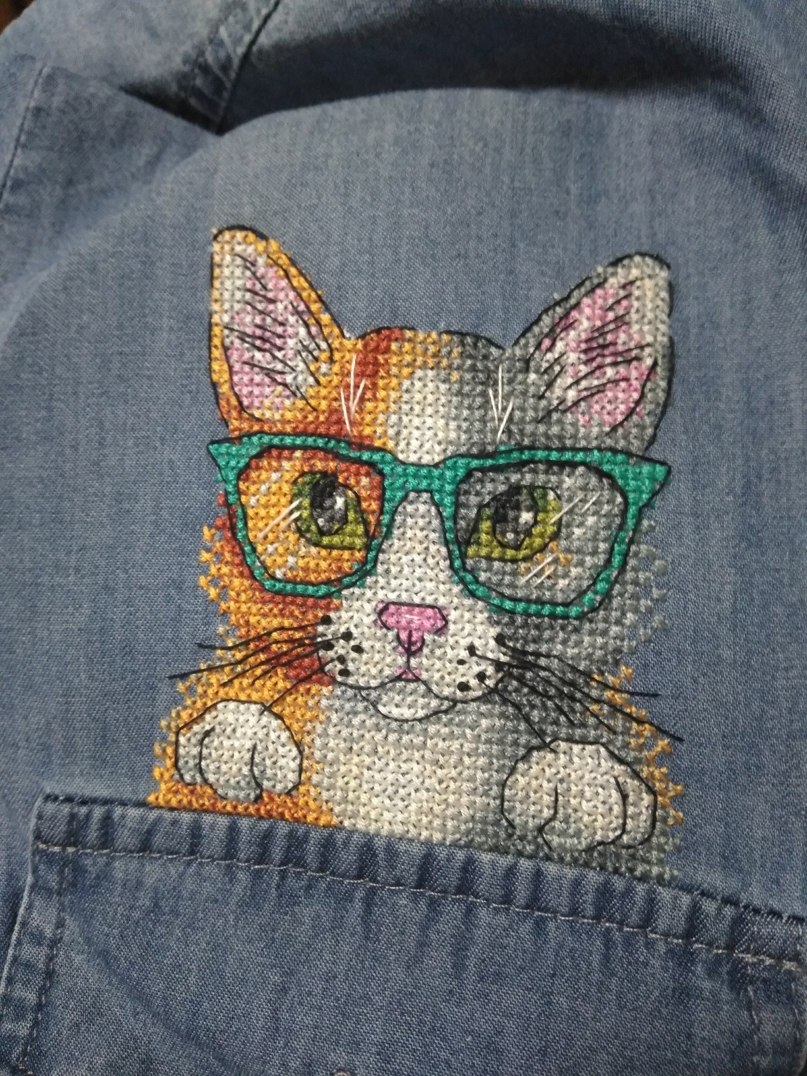 Personal hipster cat or embroidery on clothes. - My, Embroidery, Cross-stitch, Needlework with process, cat, Longpost, The photo