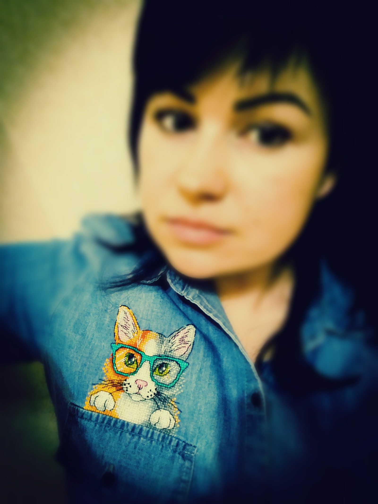 Personal hipster cat or embroidery on clothes. - My, Embroidery, Cross-stitch, Needlework with process, cat, Longpost, The photo