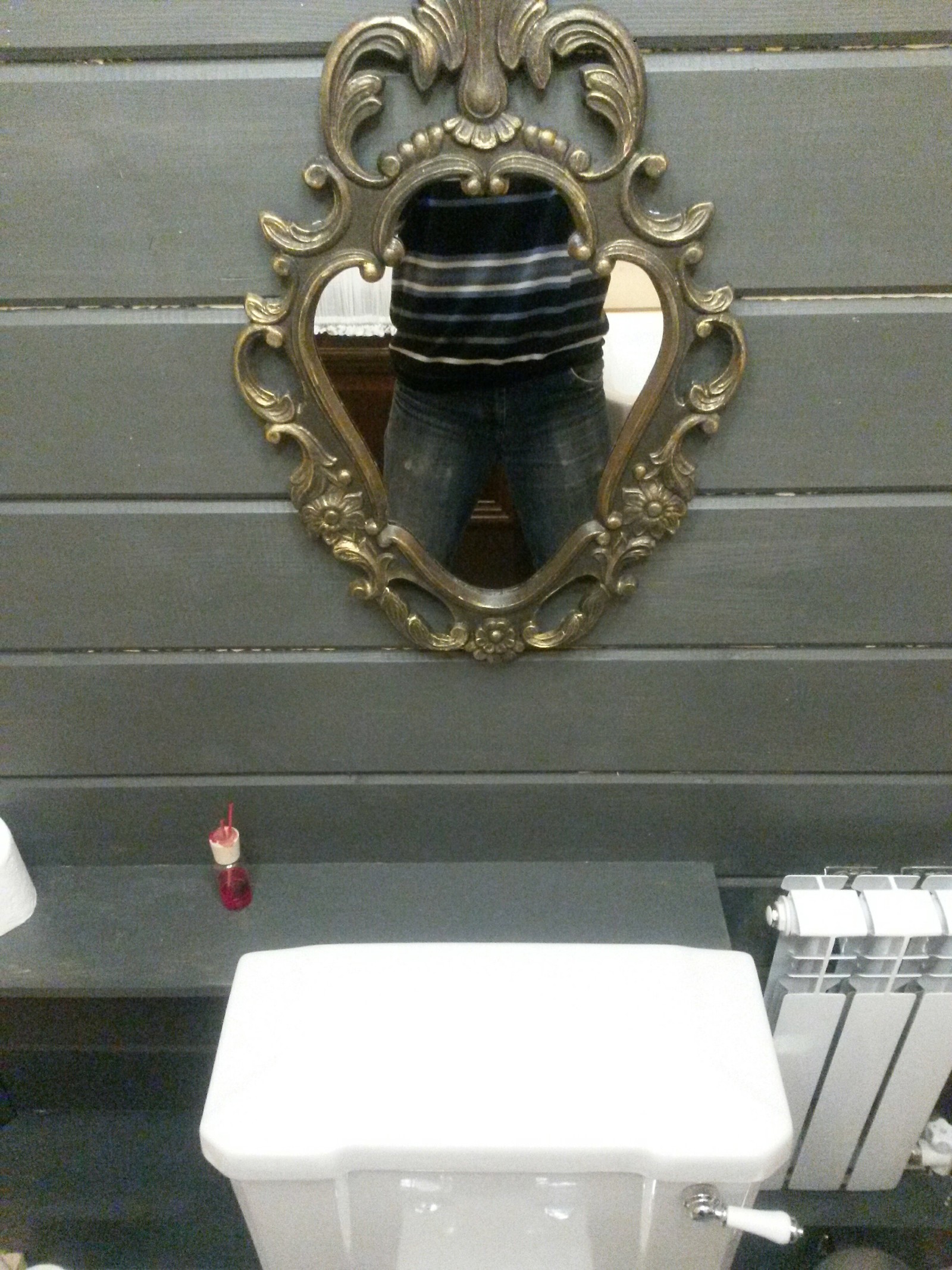 Mirror in the restroom - My, Mirror, Toilet, Selfie, Longpost, The photo