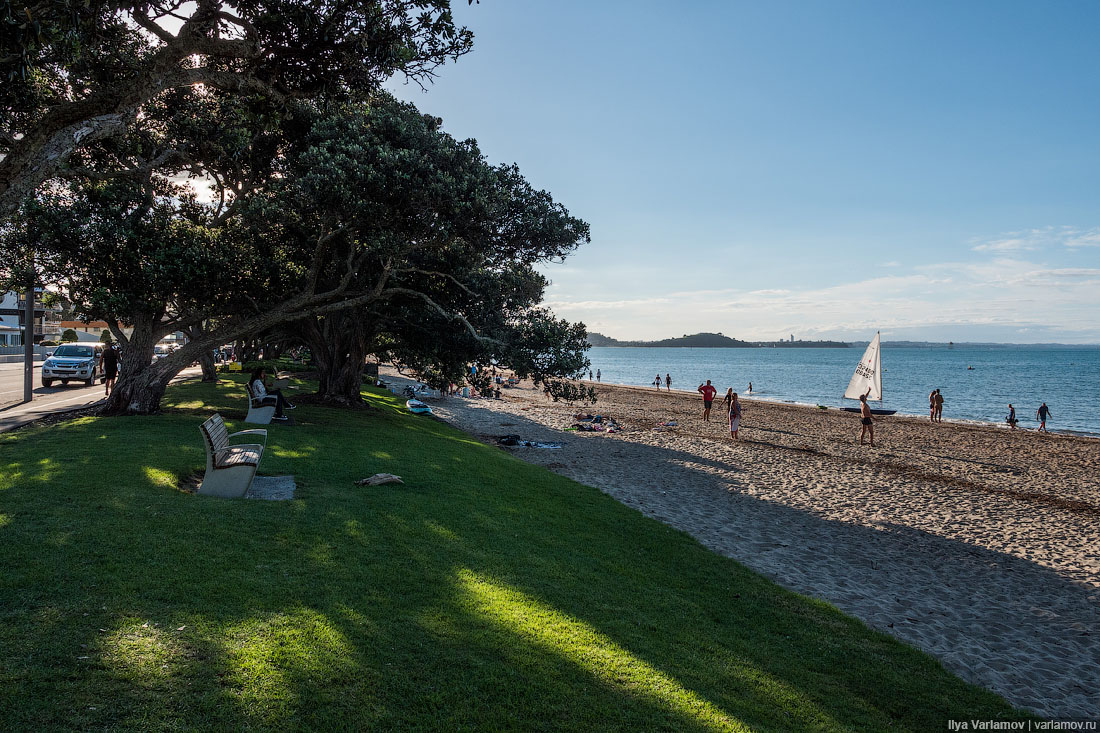 New Zealand: maybe drop everything and stay here? - My, Travels, New Zealand, Public place, Nature, Beach, Ocean, Regatta, The photo, Video, Longpost