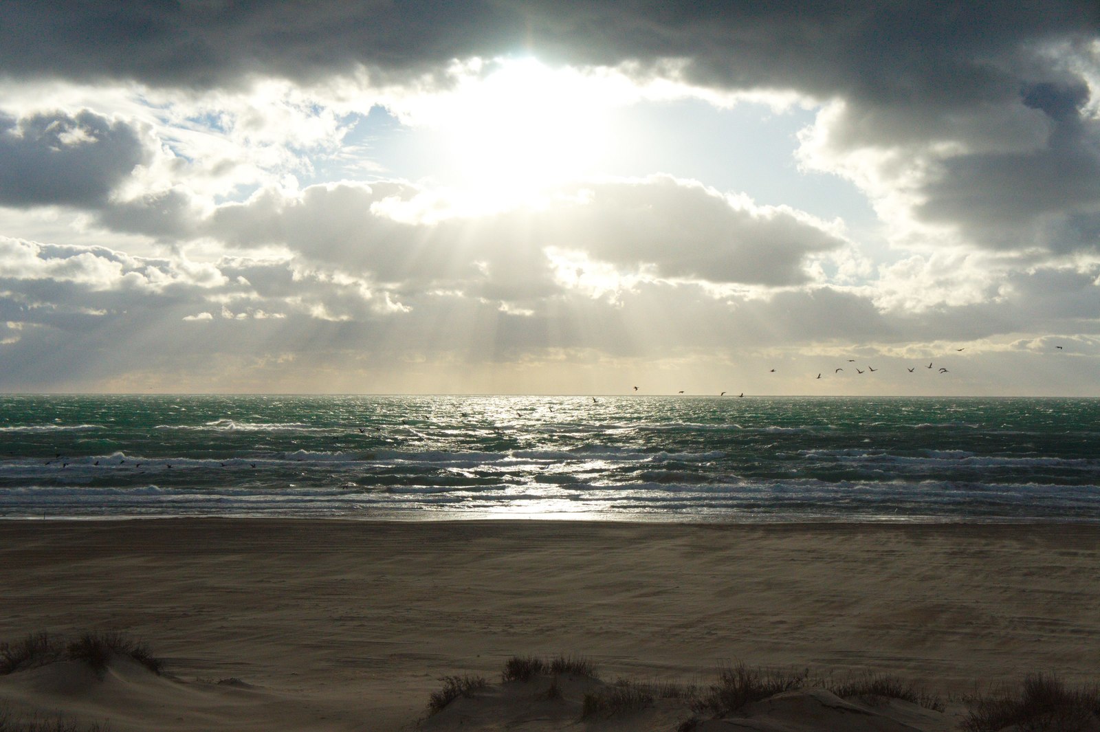 Anapa in winter - My, Anapa, Black Sea, My, Longpost, The photo