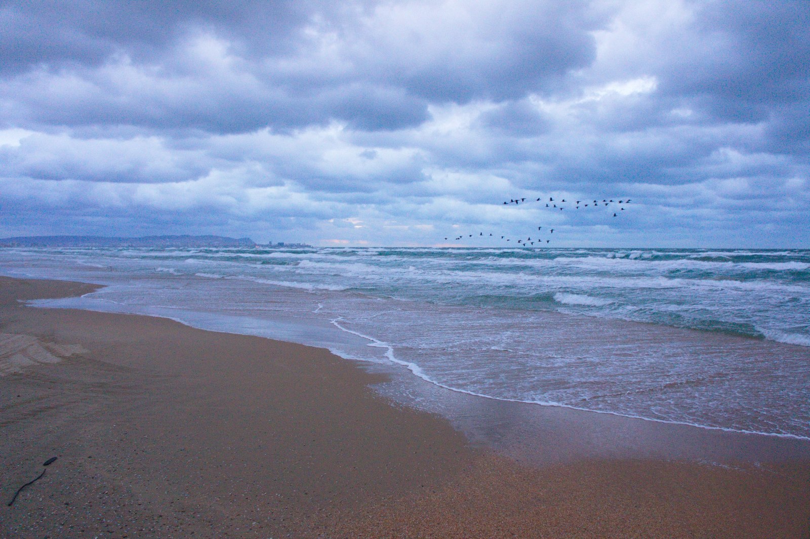 Anapa in winter - My, Anapa, Black Sea, My, Longpost, The photo