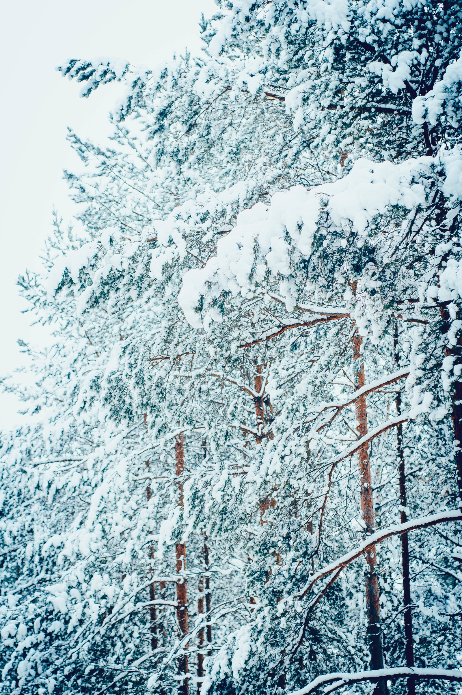 Primorskoye Highway, Gulf of Finland. - My, The Gulf of Finland, Primorskoye Shosse, Road, Snow, Winter, Volkswagen Golf II, Leningrad region, Snowfall, Longpost