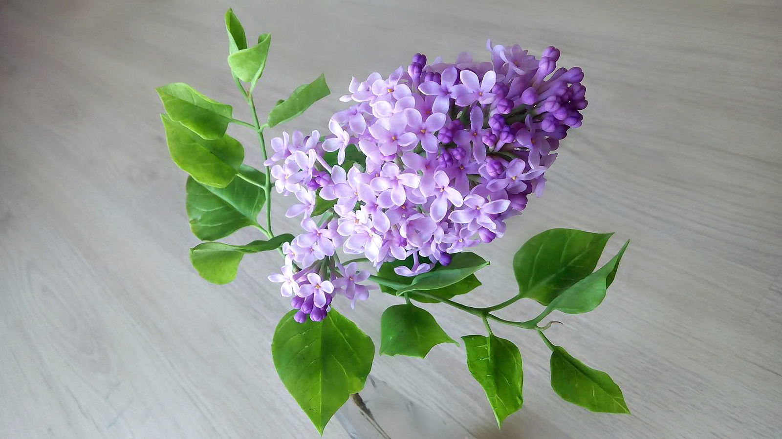 Branch of lilac from polymer clay - My, , Lilac, Polymer clay, Flowers, Needlework without process, Handmade, Longpost