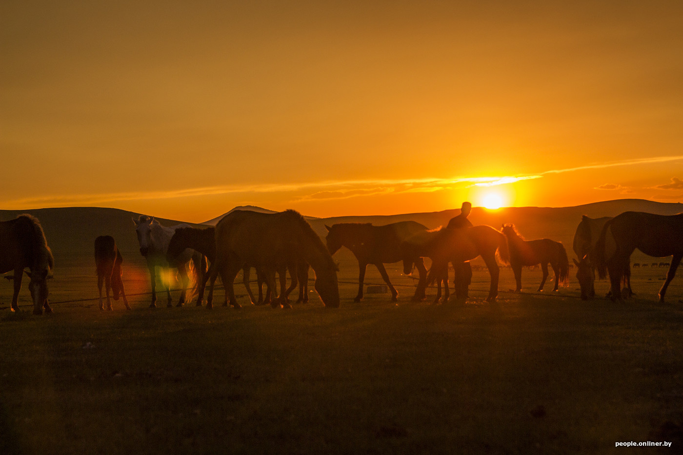 Around the world 17/18. Mongolia. Hell for vegetarians and hospitality with koumiss. Story #4 - , Trip around the world, Longpost, Onliner by