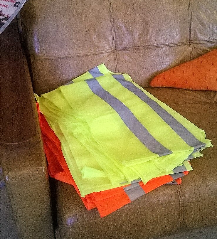 Reflective vest? - My, Traffic cop, Проверка, smile, Humor