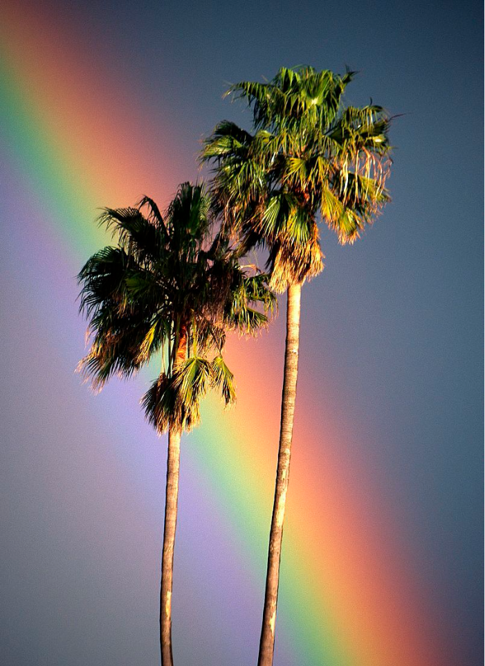 Rainbow | Пикабу