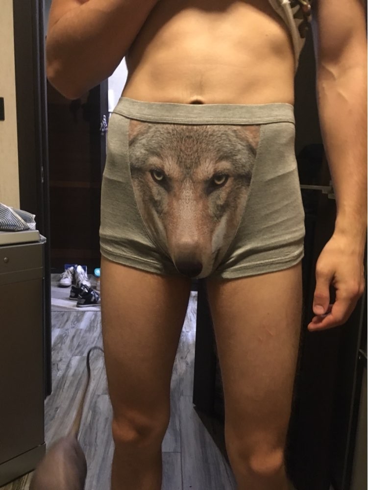 sad wolf - Reviews on Aliexpress, Wolf, Underpants, Longpost, AliExpresspress, AliExpress