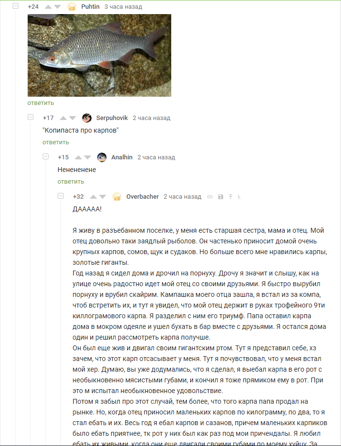 unexpected change of subject) - Longpost, Screenshot, Comments, Strawberry, Roach, Comments on Peekaboo, Confidence, Проверка