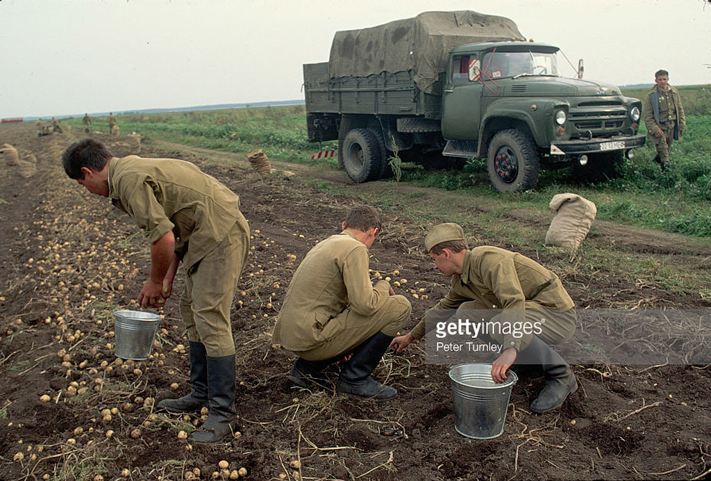 The myth about natural products in the USSR - the USSR, Products, Chemistry, Comparison, Longpost