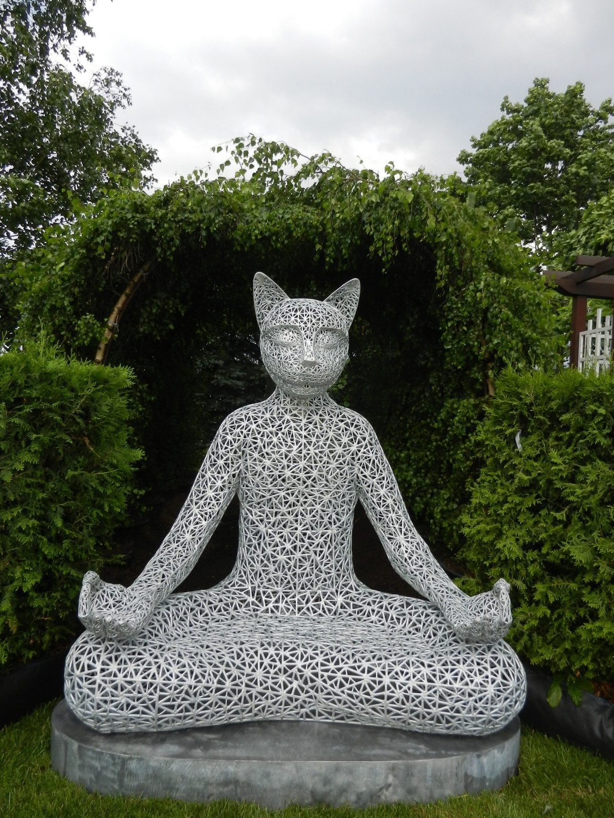 Meditating cat Tikhvami - Not mine, cat, Welder, Skillful fingers, Longpost