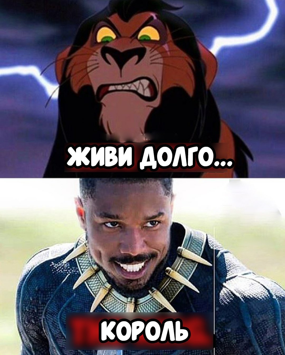 Why would Disney make a movie adaptation of The Lion King when Black Panther already exists. - The lion king, Similarity, Longpost, Freeze, Black Panther, Marvel, Black people, Walt disney company