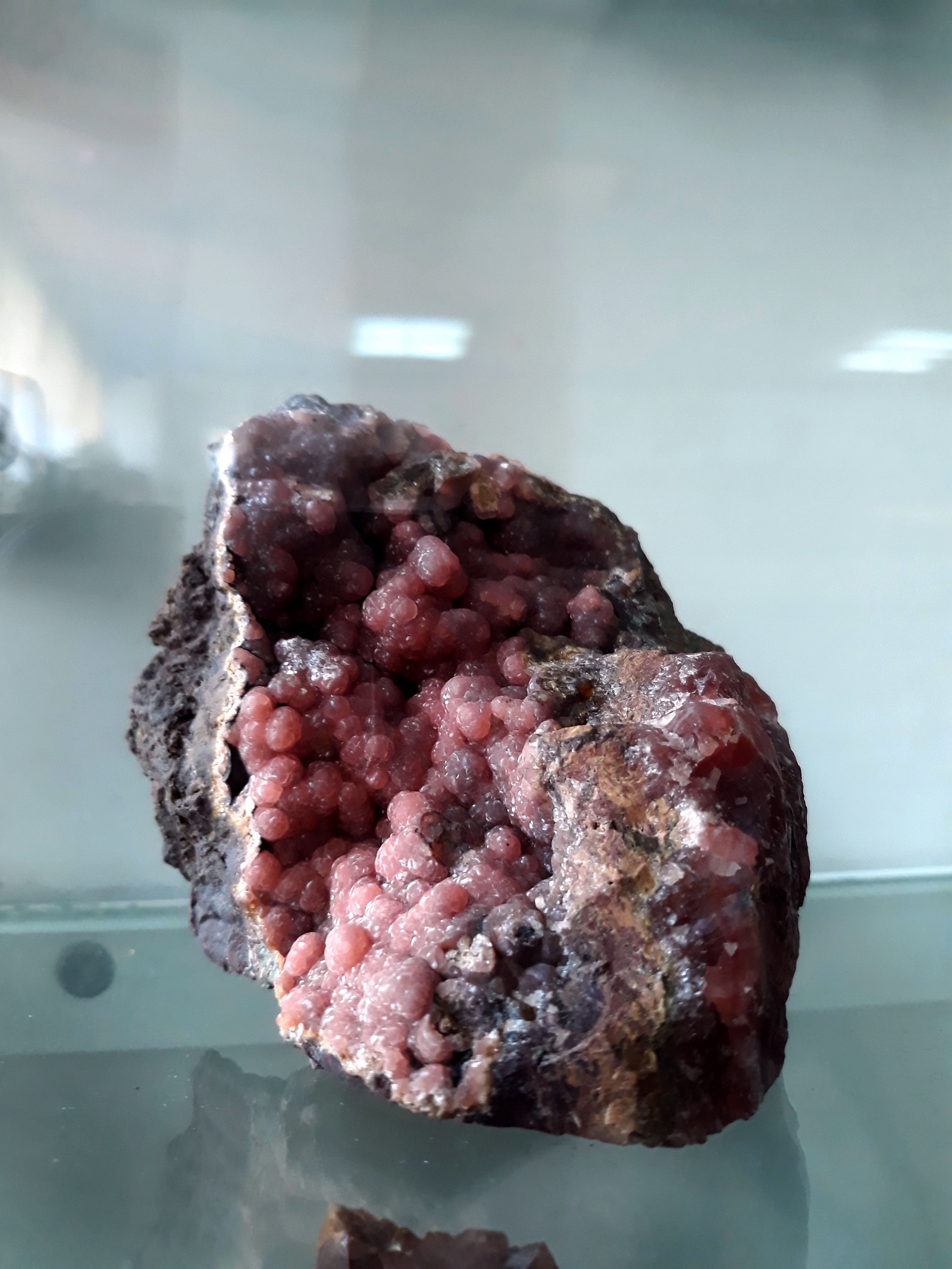 Exhibition of Minerals in Karaganda - My, where to go, Karaganda, Exhibition, Minerals, Collection, The photo, Kazakhstan, Longpost, Video