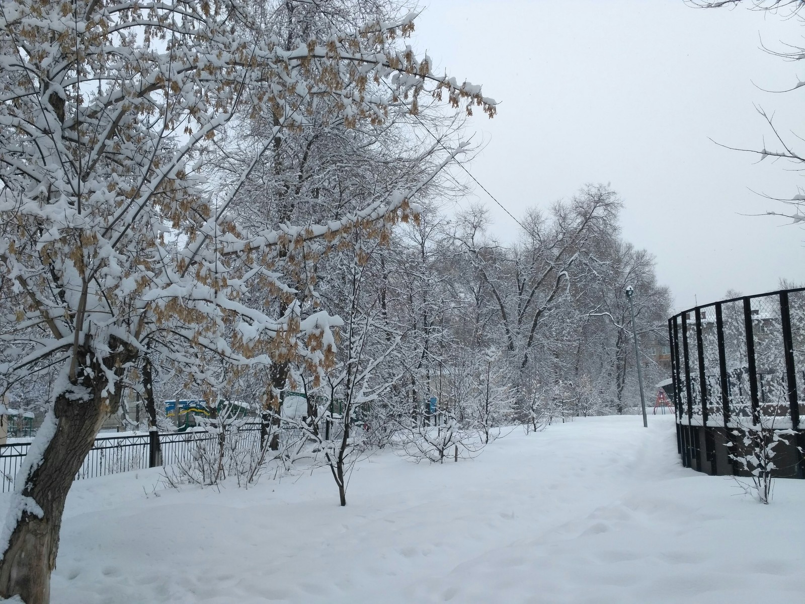 The weather prepared the funniest joke for Samara on April 1 ...) Spring does not think to come - My, Spring, April 1, Samara