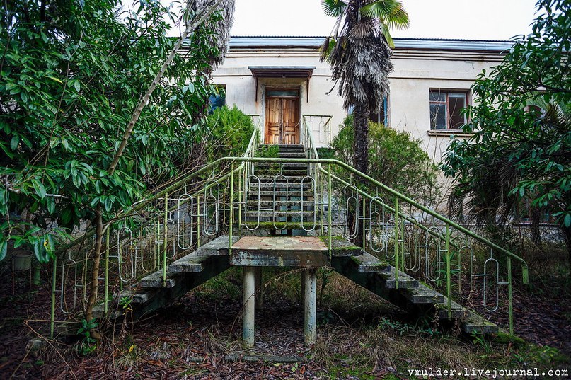 Abandoned pioneer camp in the Caucasus - life after people - Abandoned, Camp, the USSR, Atmospheric, Longpost, Pioneer camp, Caucasus, The photo