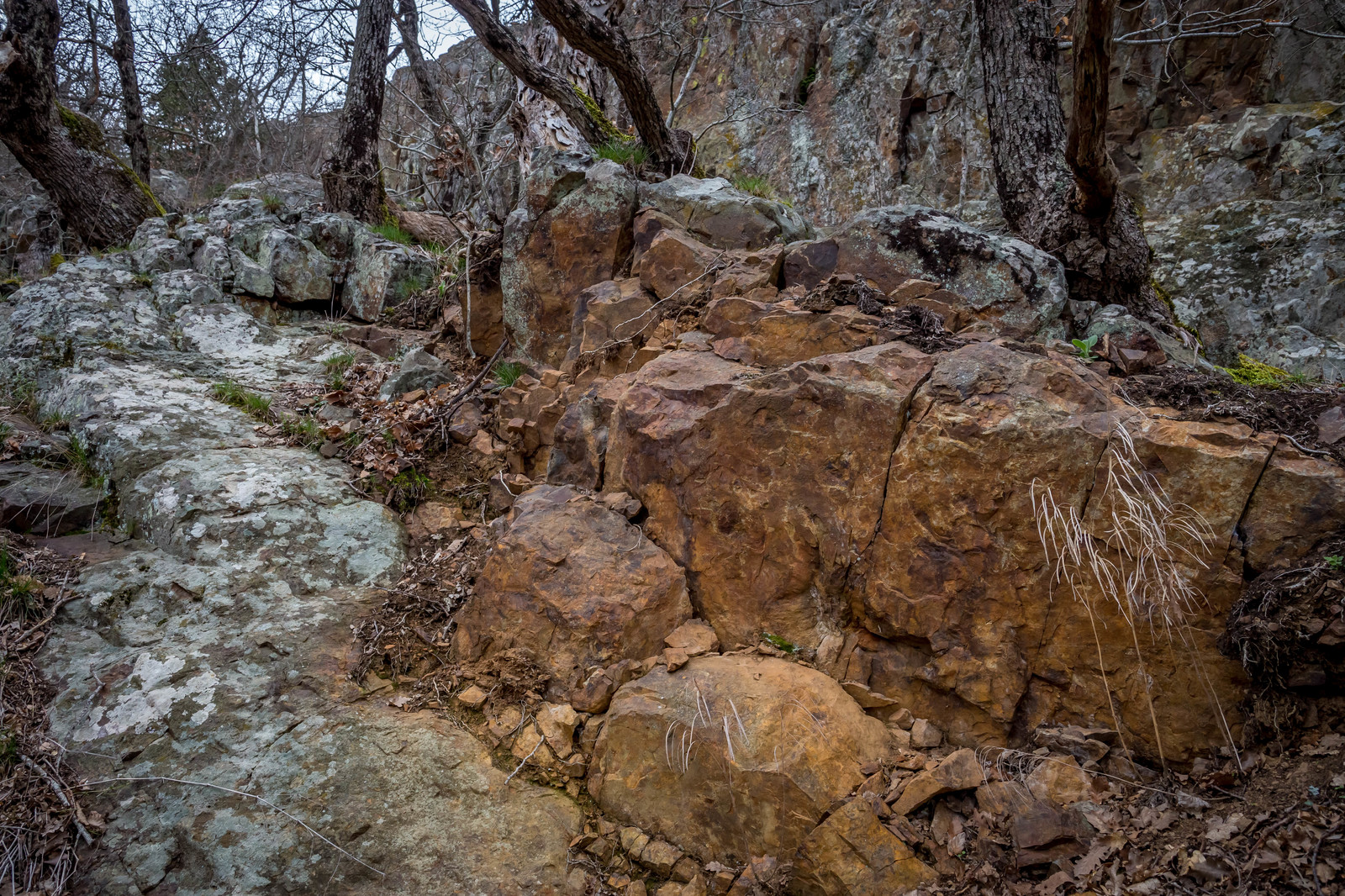 In the Crimea along the Bear Mountain (Ayu-Dag). - My, Crimea, Travels, Tourism, Russia, Nature, The mountains, The photo, My, Longpost