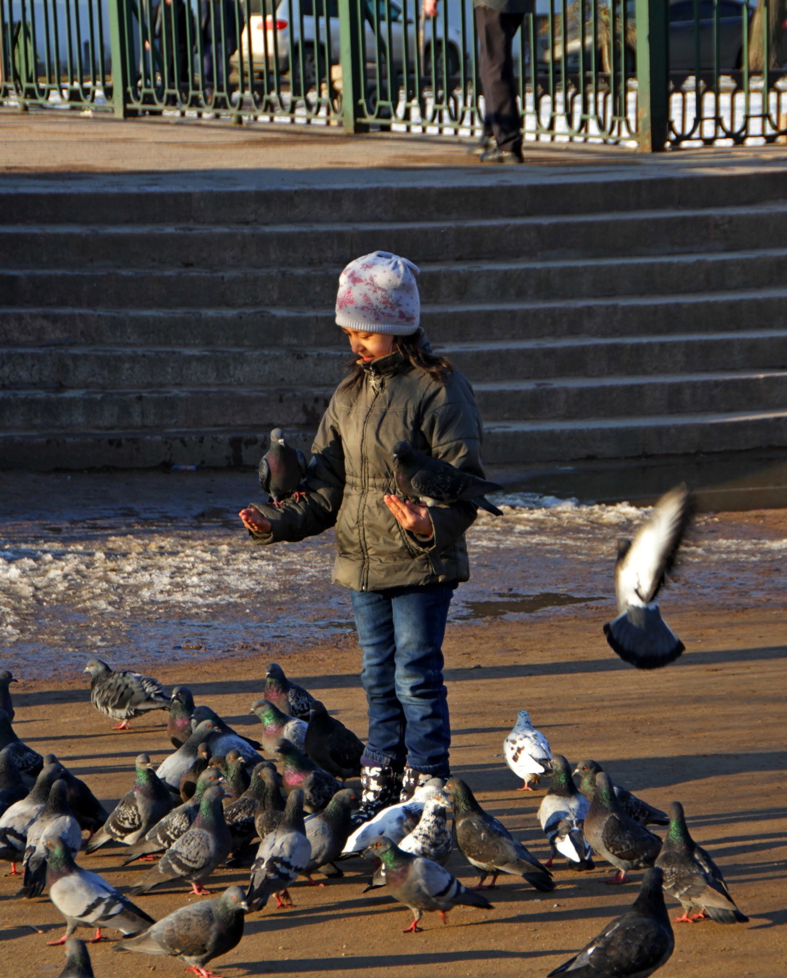Petersburg sometimes pretends to be Barcelona - My, Saint Petersburg, The photo, Spring, A parrot, , Longpost, Canon 7d