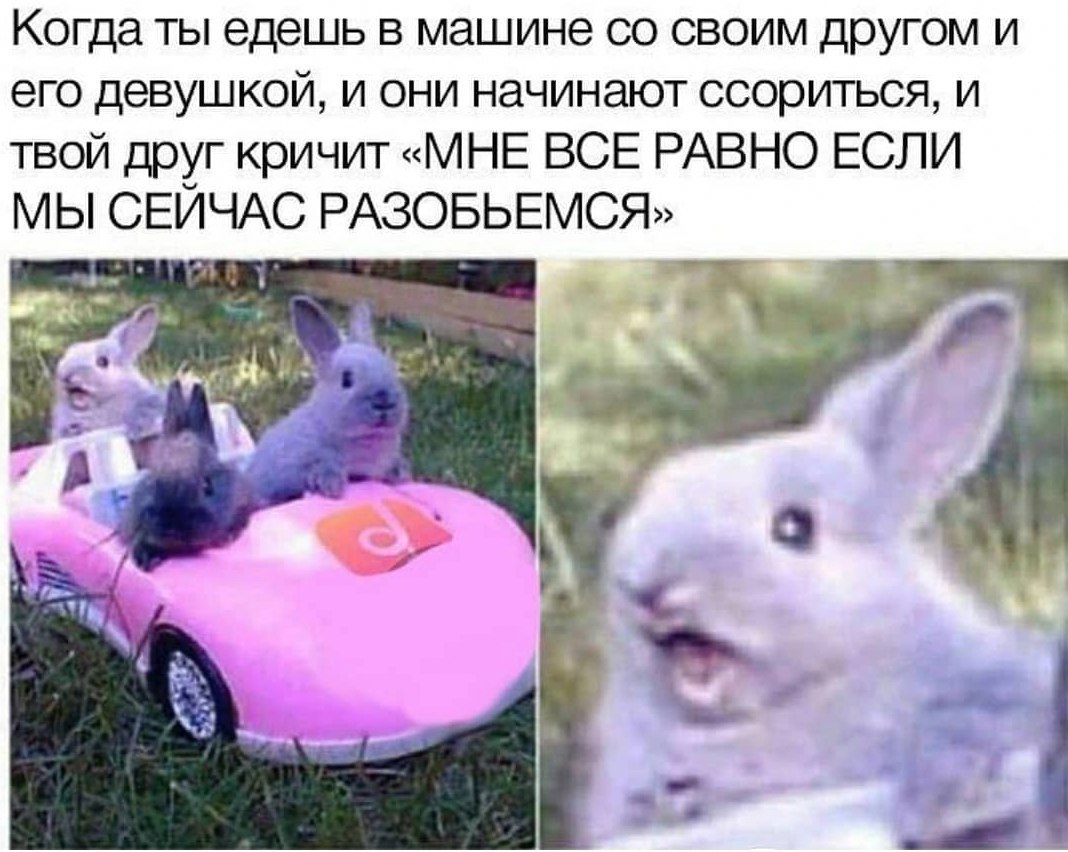 ААААААААААААААААААААААААА | Пикабу