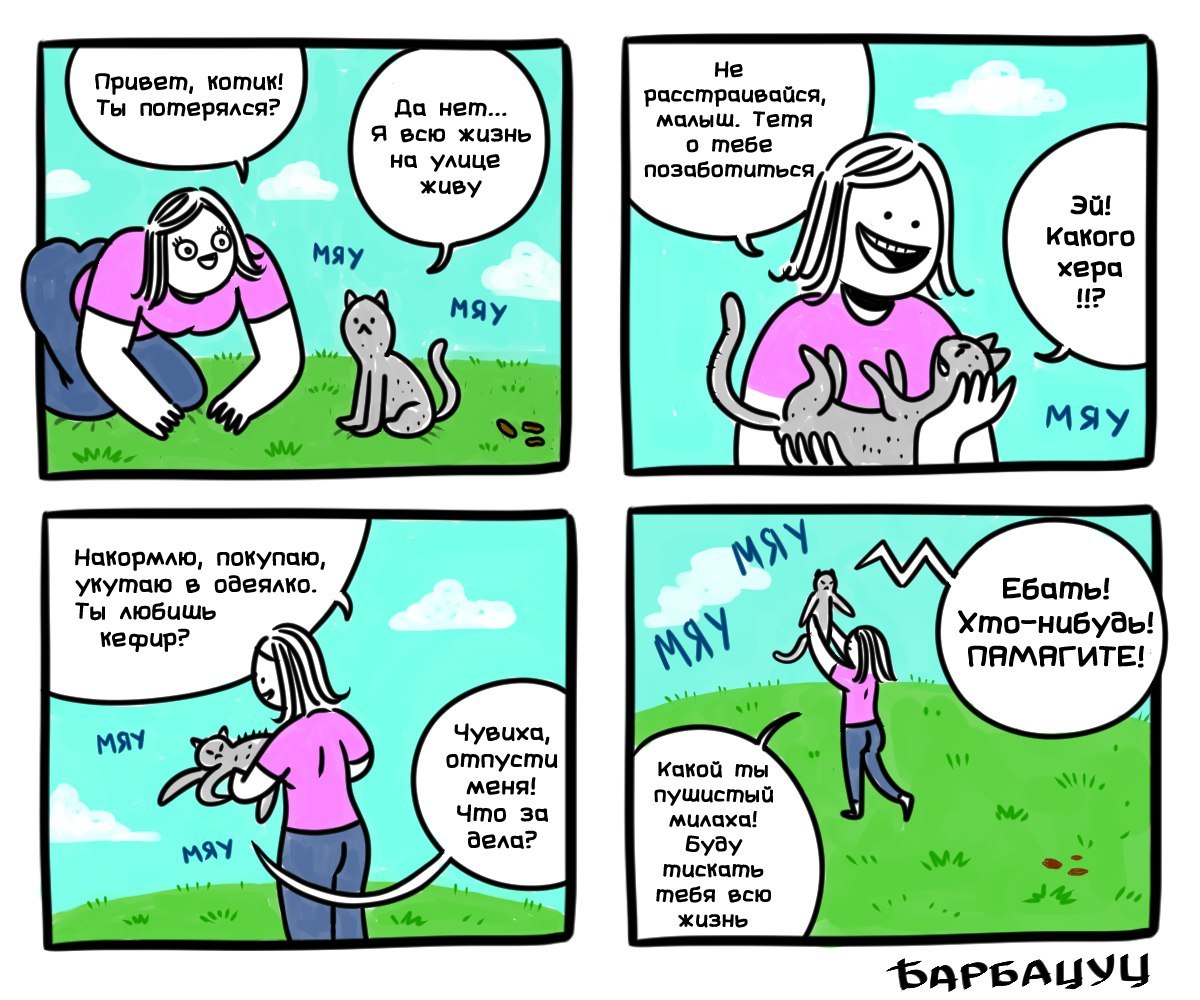 Abduction - My, Comics, Barbatsuts, Humor, Panache, cat, Girls, Mat, Abduction