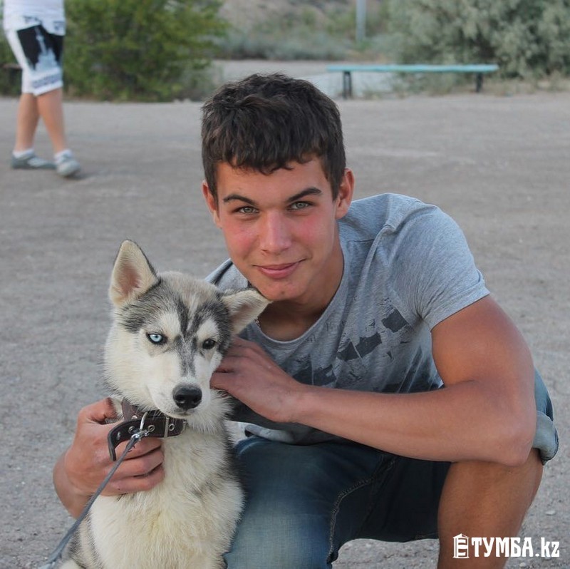 The photo of a Syrian teenager who traveled 500 km to Greece did not leave his beloved husky puppy quickly spread around the world. - Husky, People, Dog, Friend, Person, Longpost