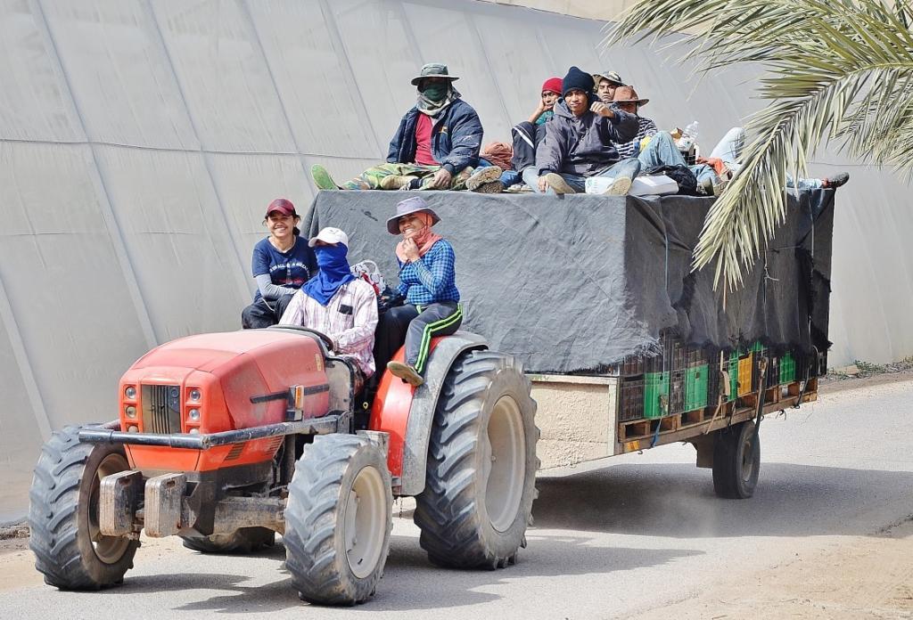 Israeli vegetables and fruits supplied to Russia - Near East, Israel, Feeding, Russia, Longpost