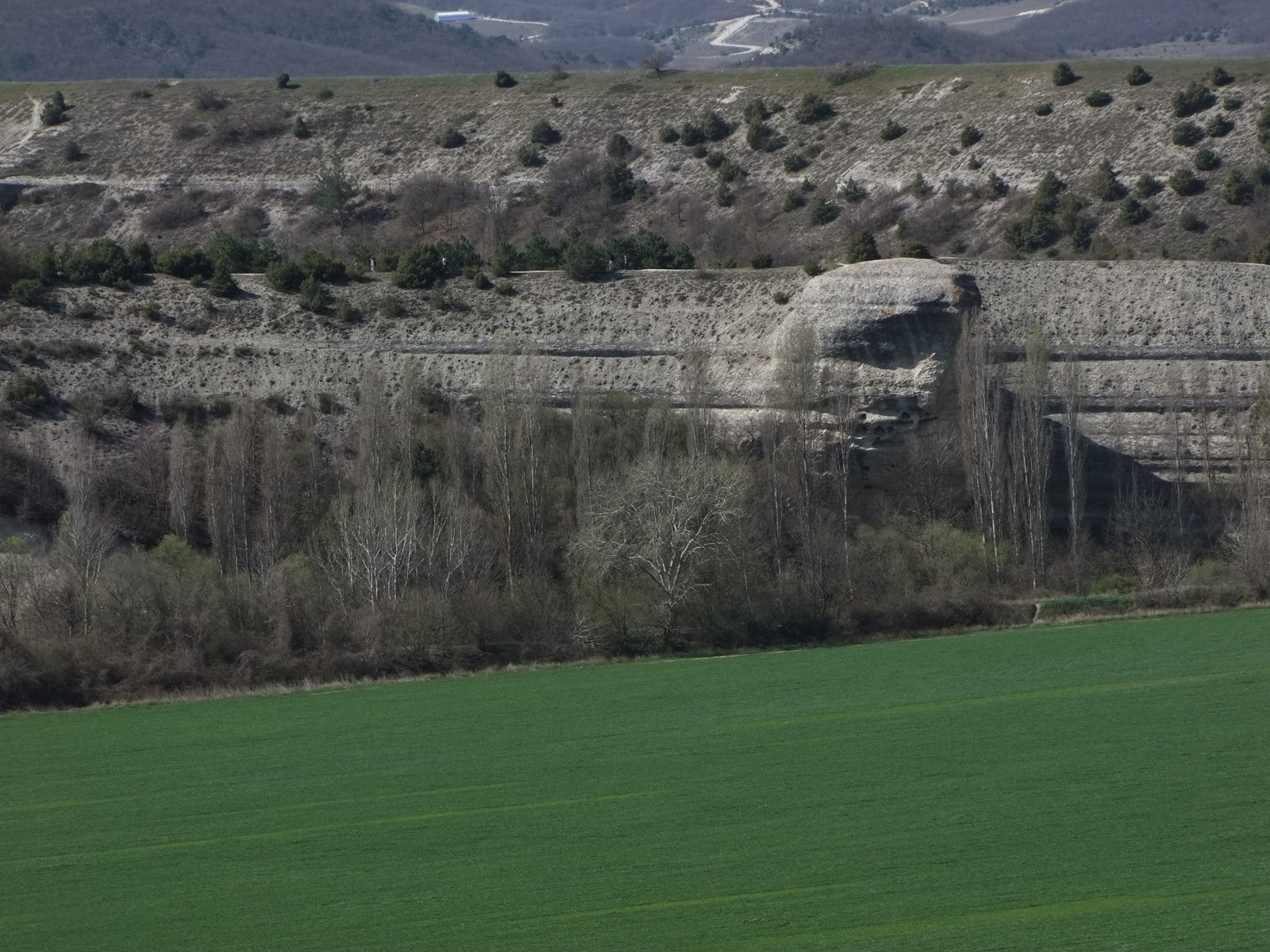 Look, boar pass - My, Crimea, , , Longpost, The photo