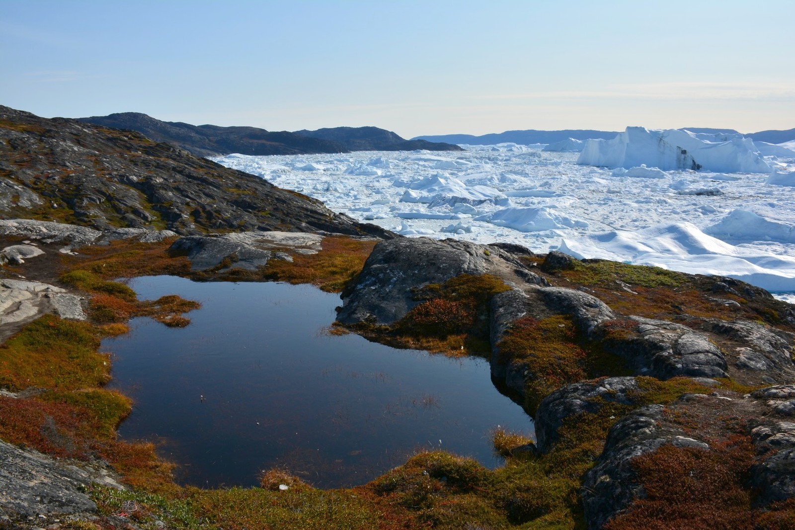 Independent trip to Greenland. Ilulissat. Seal hunting and hiking to the Ice Fjord - My, Tourism, Greenland, Ilulissat, The photo, Travels, Iceberg, Whale, Fishing, Longpost