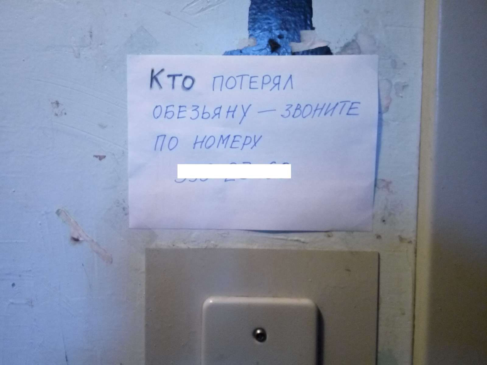 Вдогонку про объявления в подъездах. - Объвления, Подъезд, Мейнстрим, Волна постов, Фотография