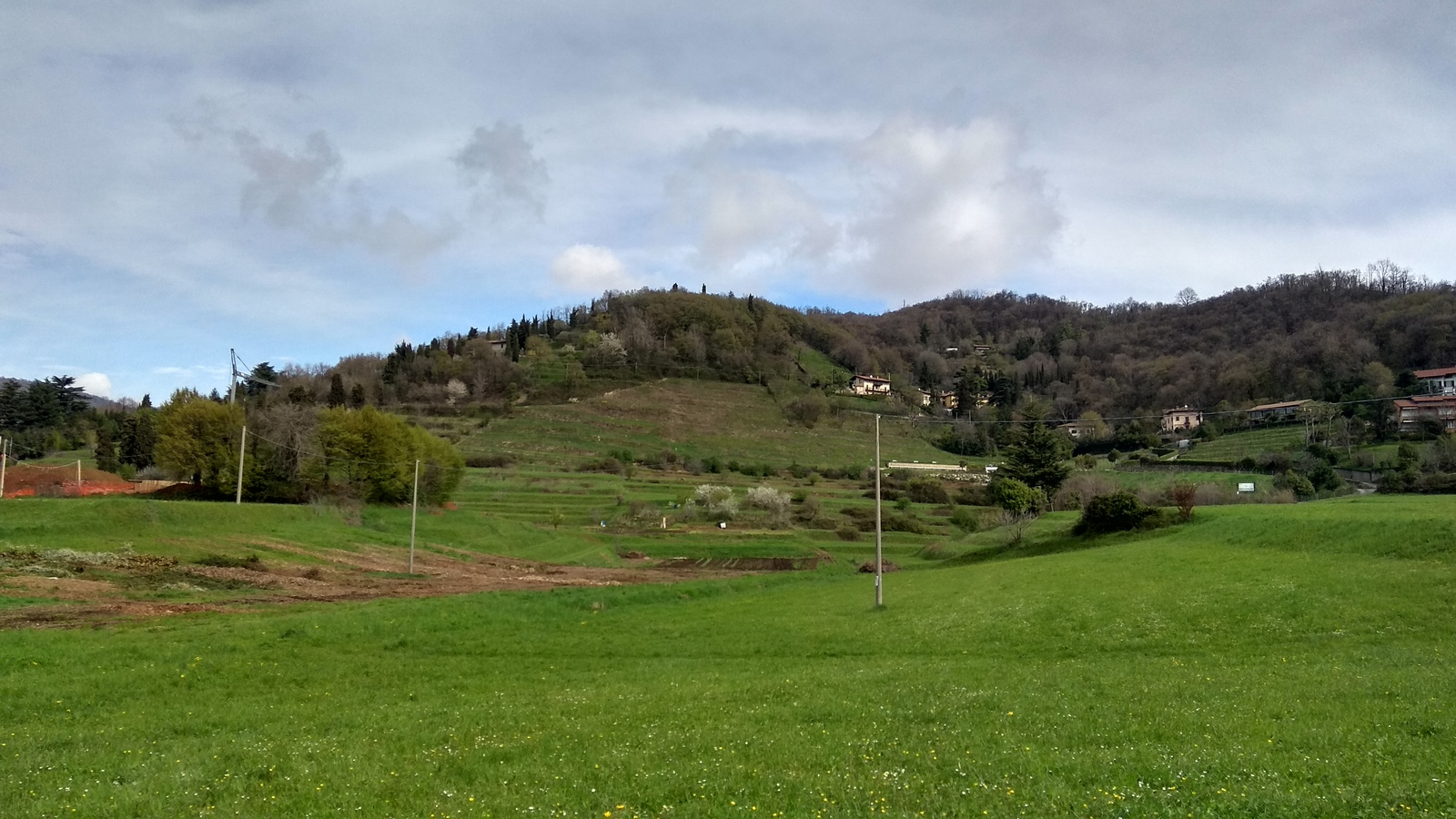 Fields in Italy and some flowers again - Field, Flowers, Flower, Italy, Longpost