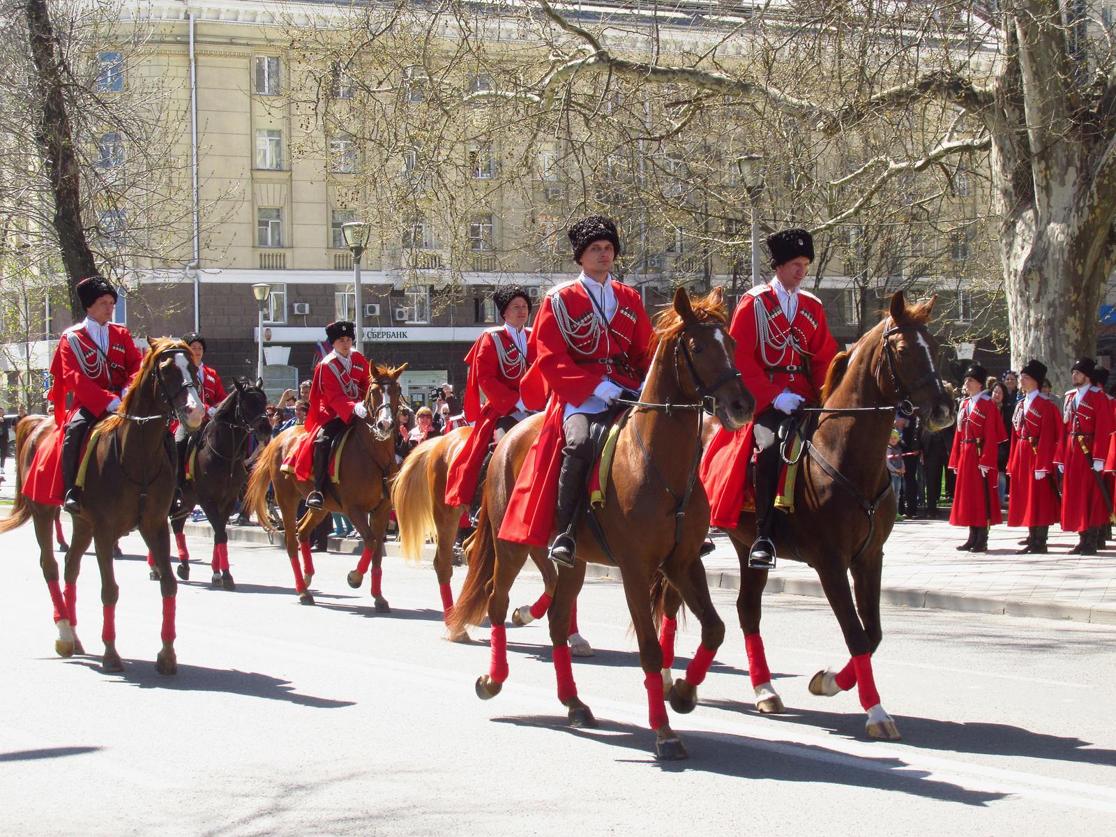 Reds in the city or Cossack pride parade - My, Show, Cossacks, Krasnodar, The photo, Longpost