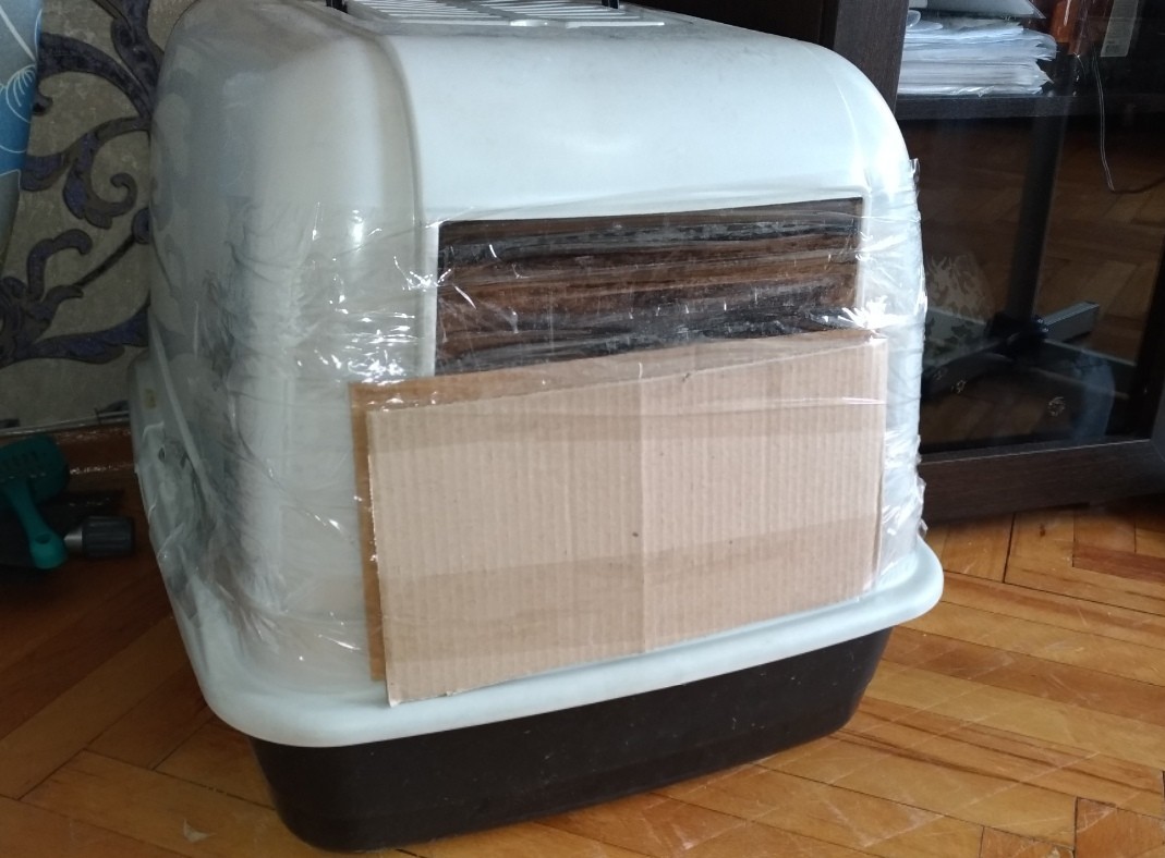 Confinement chamber for a cat. - My, cat, Abyssinian cat, Vet, cat house, Bullpen, Life hack, Longpost