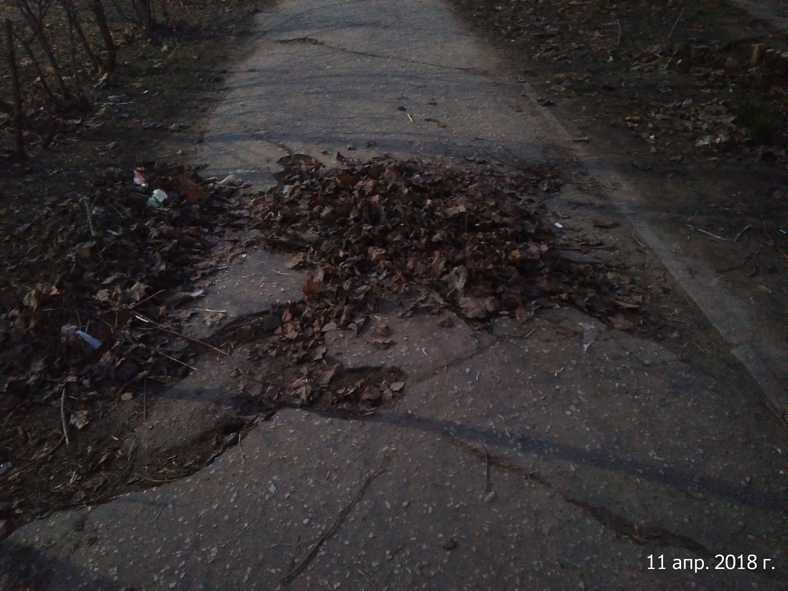 Nanotechnologies in Dubna near Moscow - My, Dubna, Spring, Idiocy, Sidewalk, Asphalt