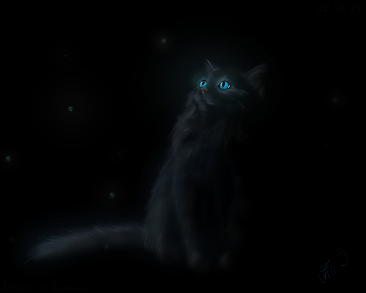 Cat - My, Photoshop, Digital drawing, Animals, cat, Night, Glowing eyes