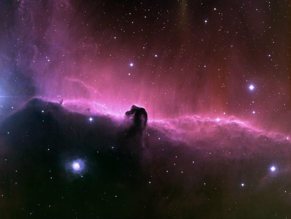 Horse head nebula - Space, Orion nebula, Horse head nebula, Longpost