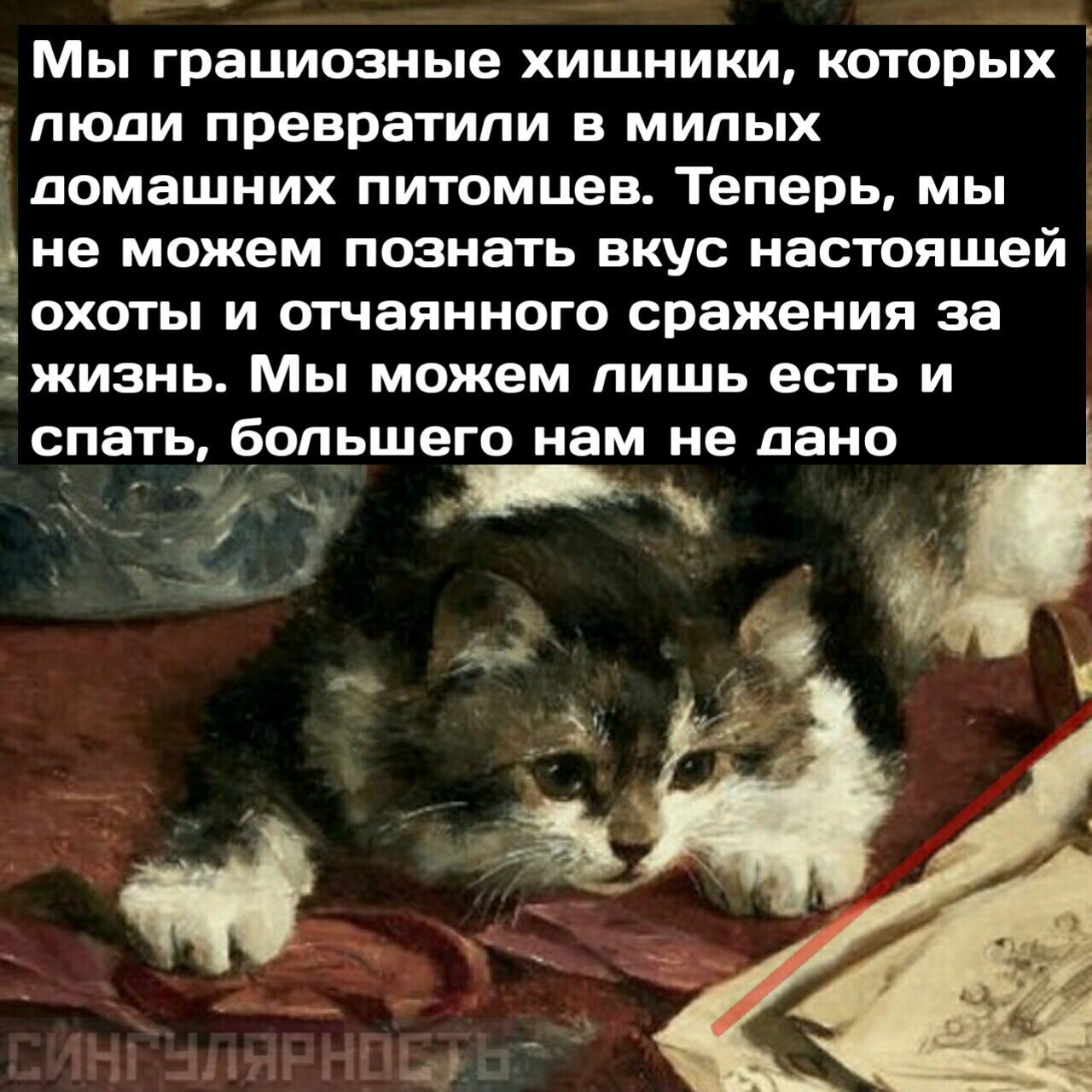 Ничто не есть правда или ложь, всё зависит от цвета очков, через которые ты смотришь на мир. - Кот, Цвет очков, Длиннопост