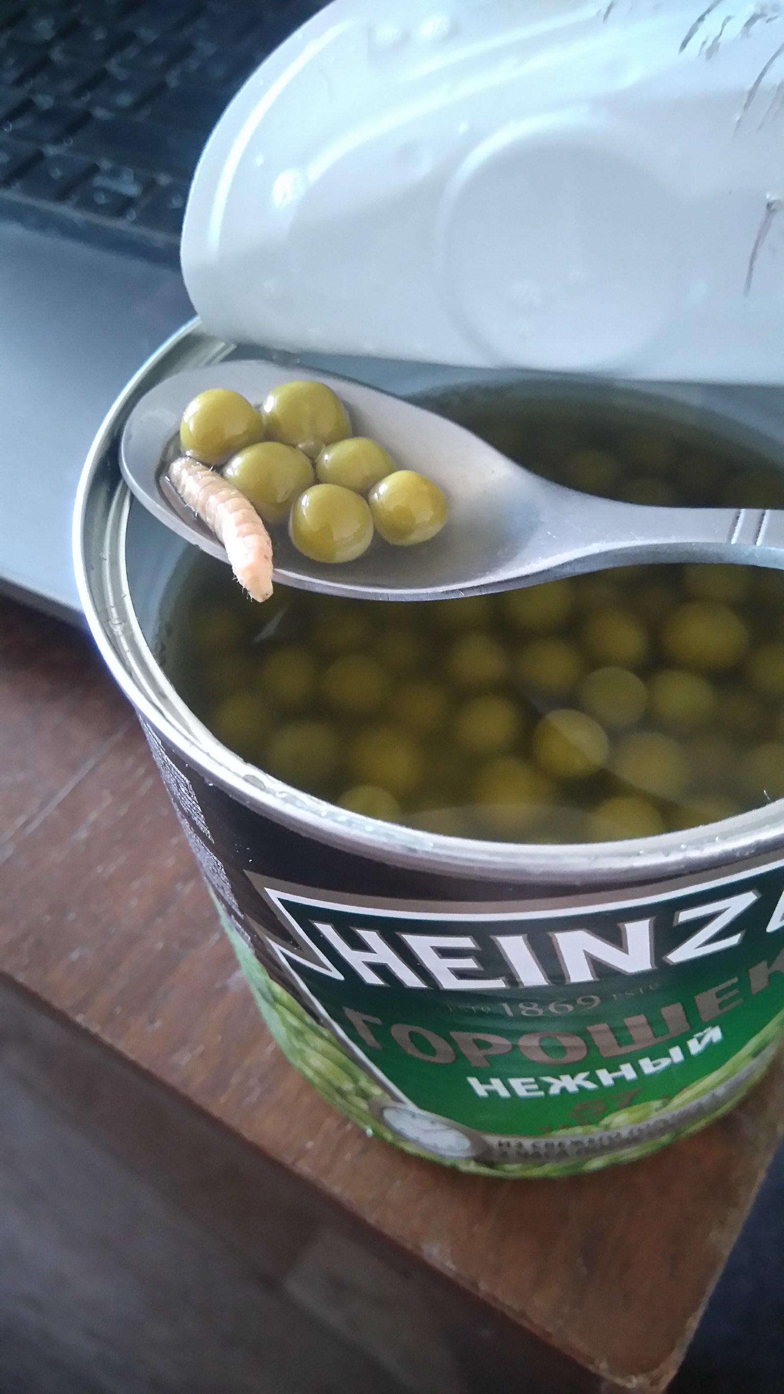 I ate tender peas ... - My, Green pea, Heinz, Animals, Find, , Longpost