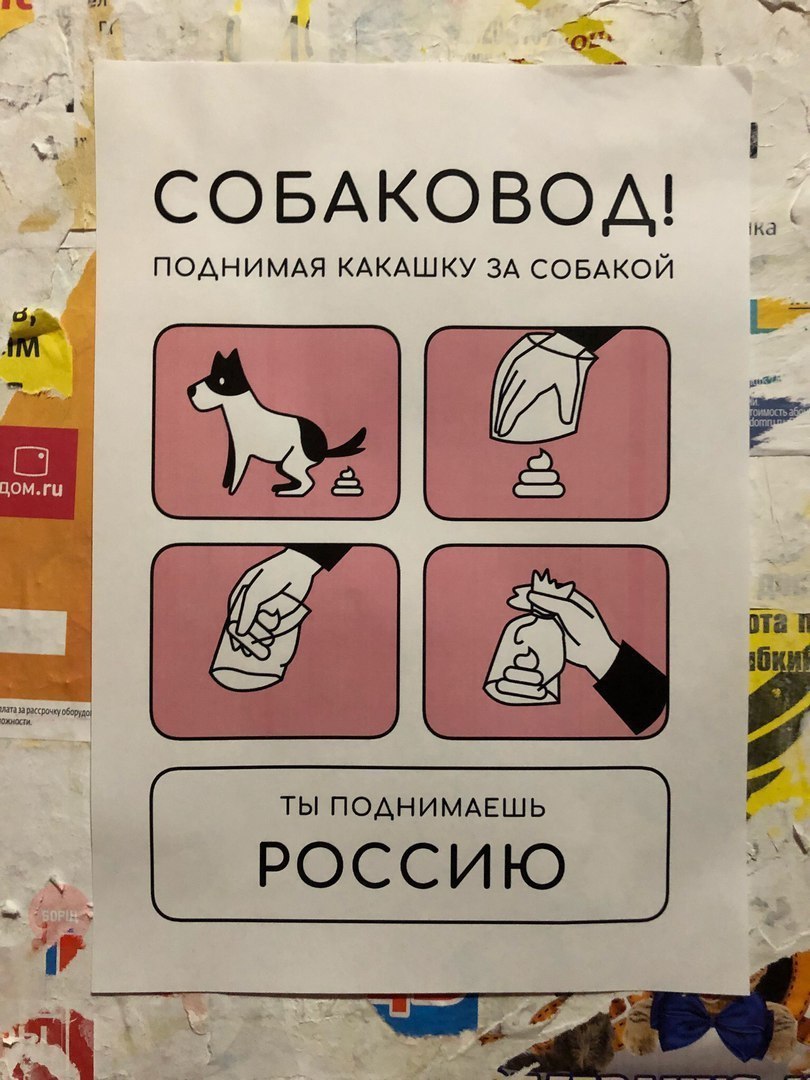 dog breeder - My, Dog, Russia