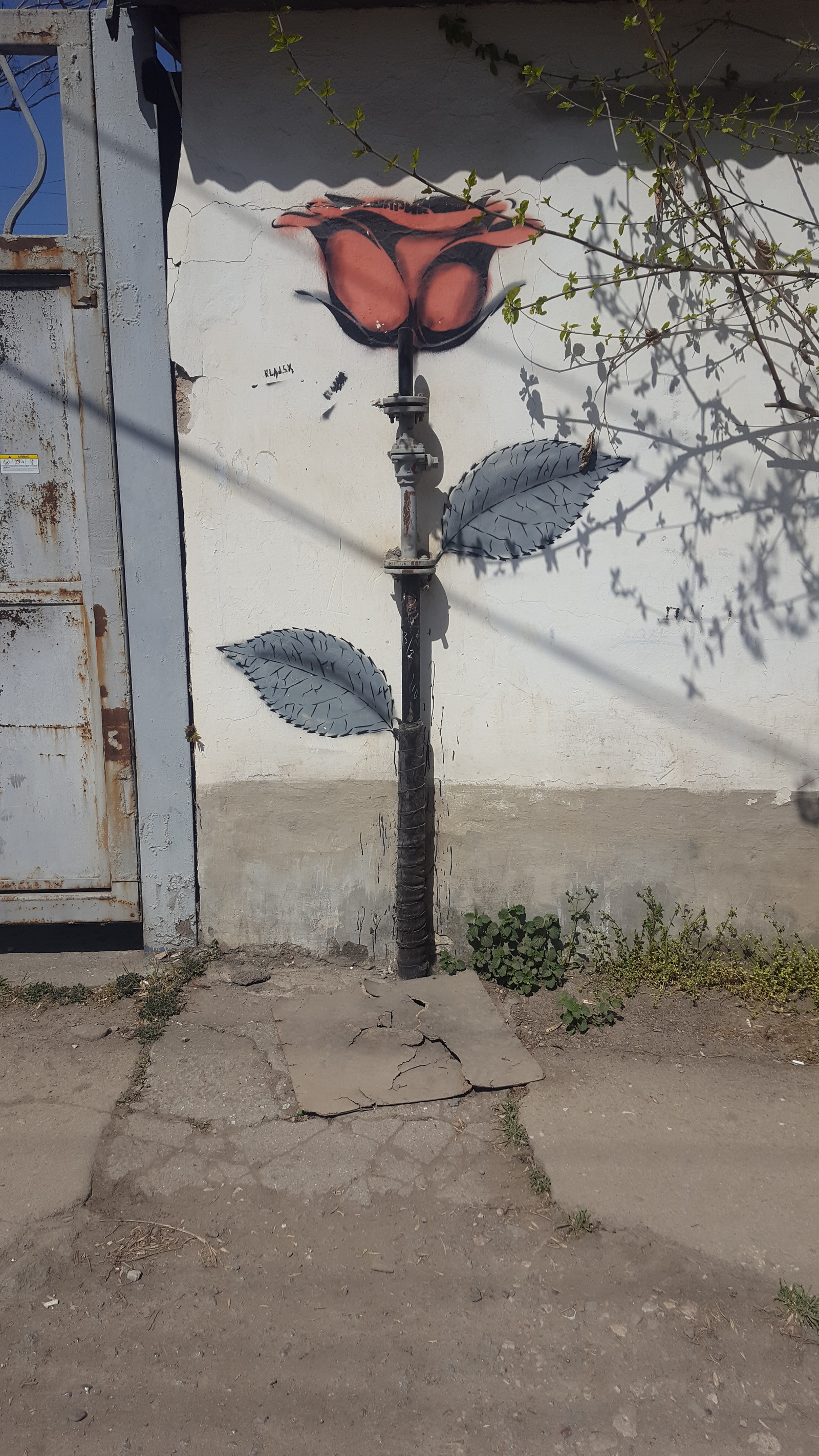 Street art in Simferopol - Street art, Simferopol